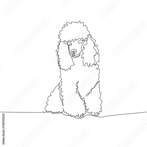 Poodle dog breed, companion dog one line art. Continuous line drawing of friend, dog, doggy, friendship, care, pet, animal, family, canine.