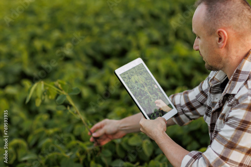 Male farmer or agronomist uses digital tablet to analyse and check the growth and disease of soybeans plants at soya field, seasonal work. Smart farming technology and agriculture business concept.