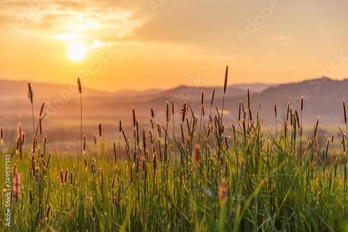 Fototapeta Naklejka Na Ścianę i Meble -  Spring sunrise on the meadow, low perspective, mountains in the background