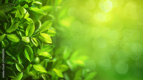 Spring background - abstract green background banner