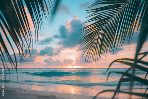 Palm trees at sunset © Yelena