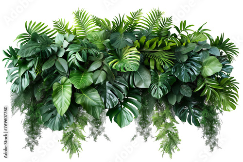 Tropical leaves foliage plant bush floral arrangement nature backdrop isolated on transparent background With clipping path. cut out. 3d render