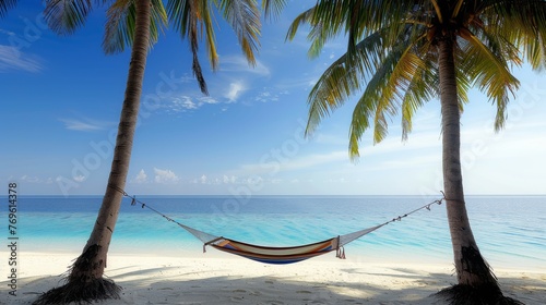 hammock strung between two palm trees on the beach
