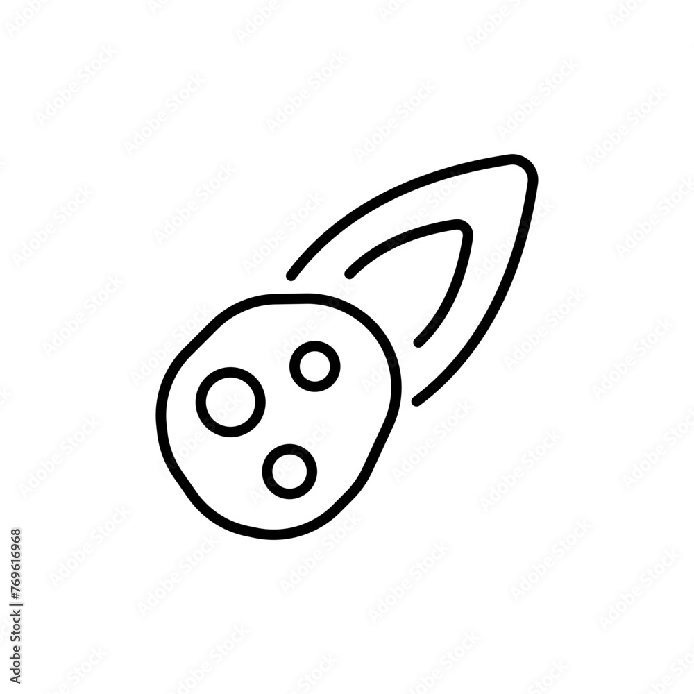 Obraz premium Meteor outline icons, minimalist vector illustration ,simple transparent graphic element .Isolated on white background