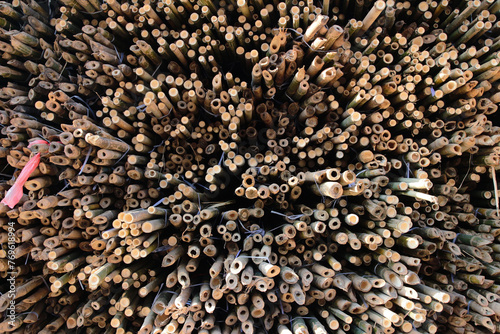 close up, cross-section image of bamboo canes set up