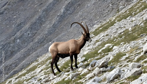 An Ibex Blending Into The Mountainous Landscape