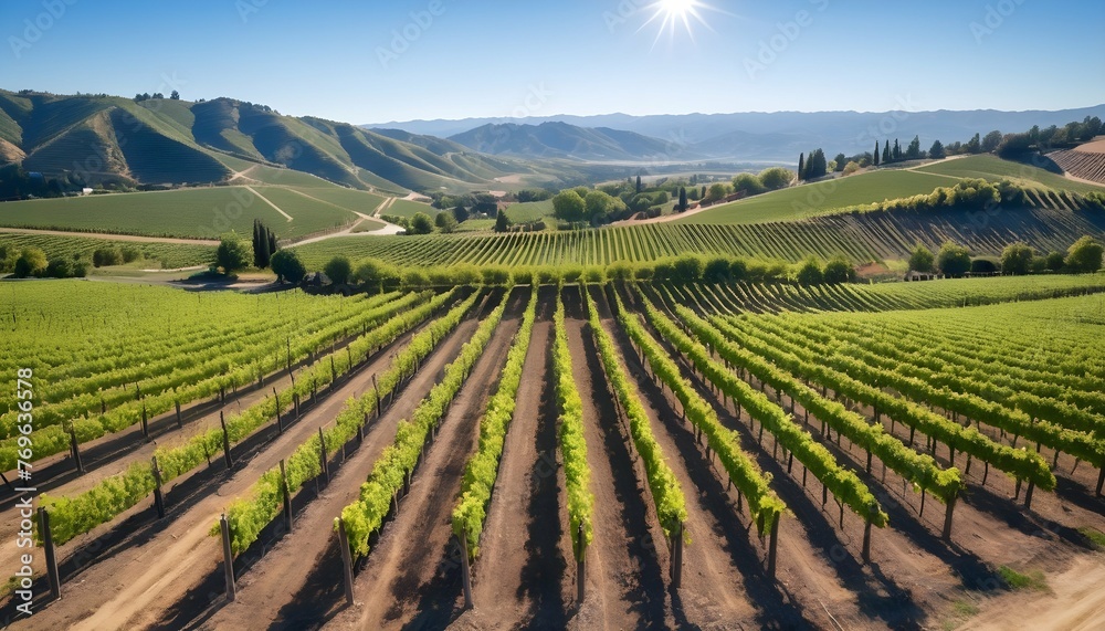 A Picturesque Vineyard With Rows Of Grapevines Und Upscaled 4