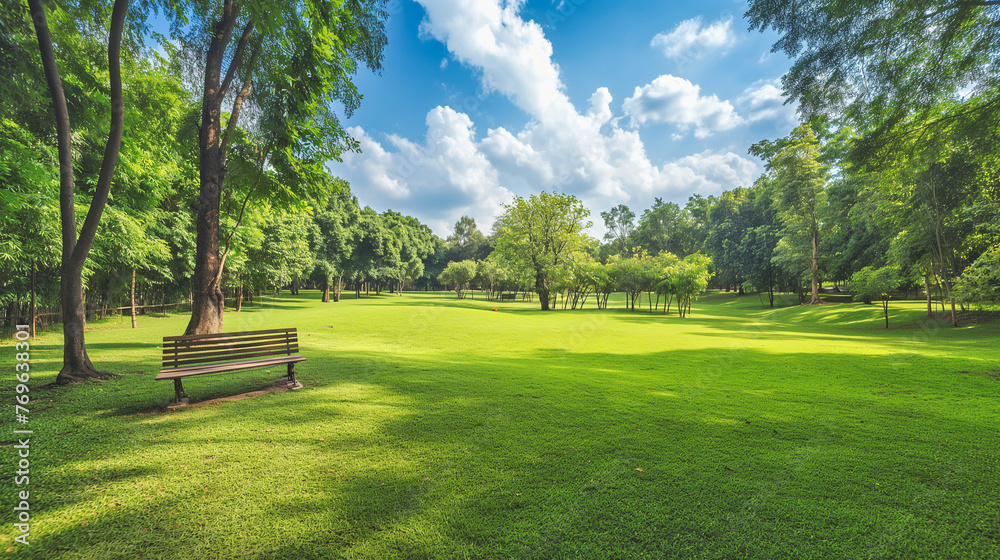 Obraz premium hidden nook in the garden, wooden garden bench on a grass lawn, beautiful alley in summer park