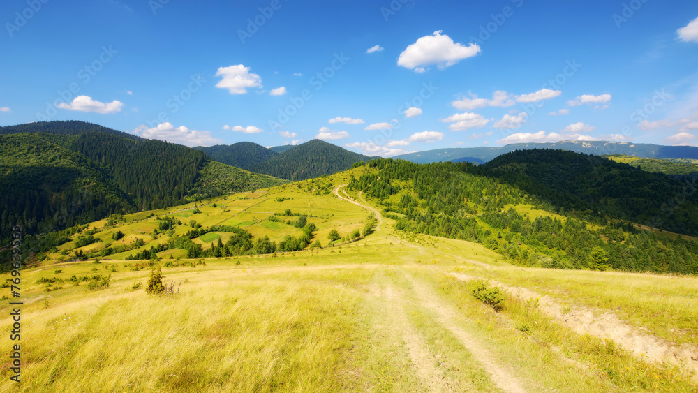 trail through rural fields and meadows on the hills. carpathian countryside in summer with mountain range in the distance. sunny afternoon weather