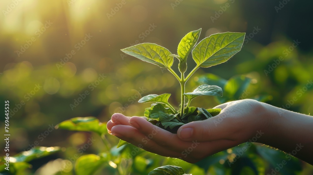 A close-up depiction showcases a hand tenderly grasping a budding plant, symbolizing the flourishing journey of entrepreneurship and startup triumph.