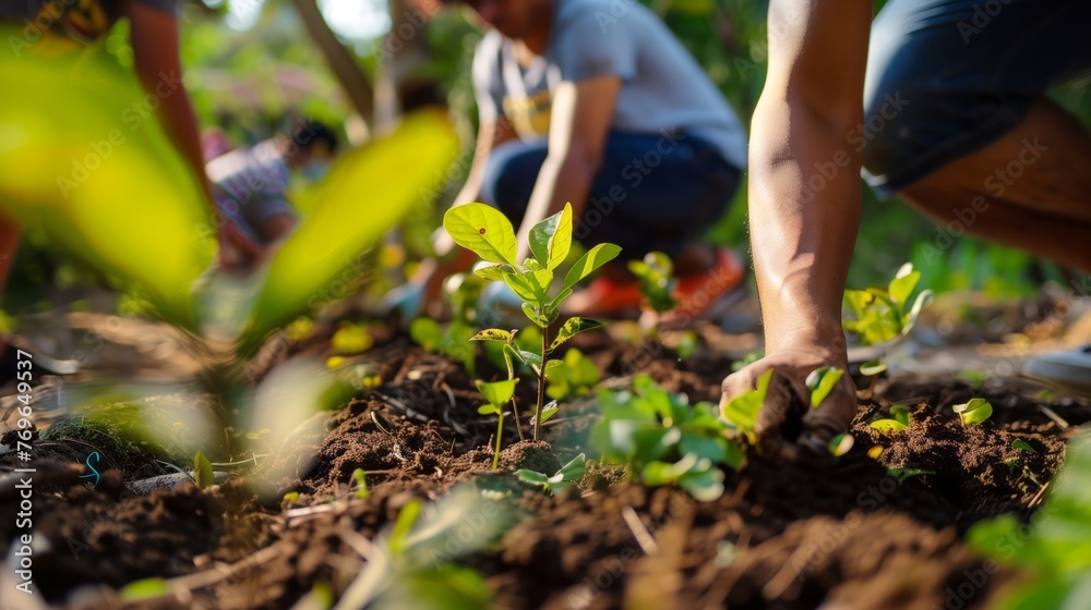 Fototapeta premium Group of people planting trees in a park or forest, symbolizing reforestation and ecological restoration efforts.