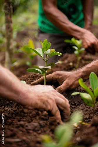 Group of people planting trees in a park or forest, symbolizing reforestation and ecological restoration efforts.