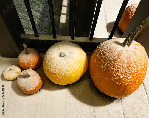 Pumpkins with a light dusting of snow, on a wooden deck.