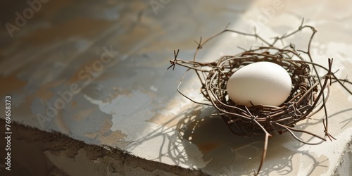 Egg lies in nest made of barbed wire, thorns, photo close up 