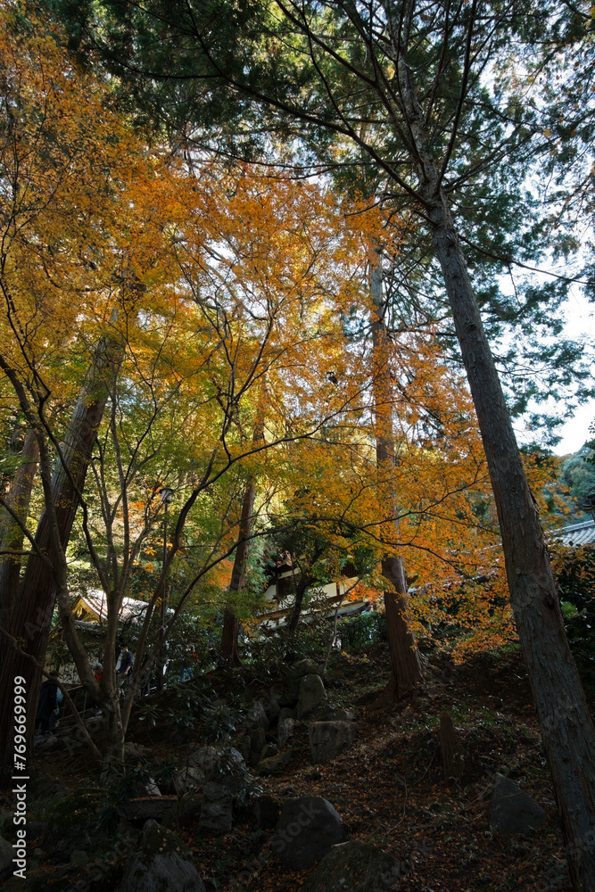 南禅寺 - Nanzenji Temple in Kyoto, Japan