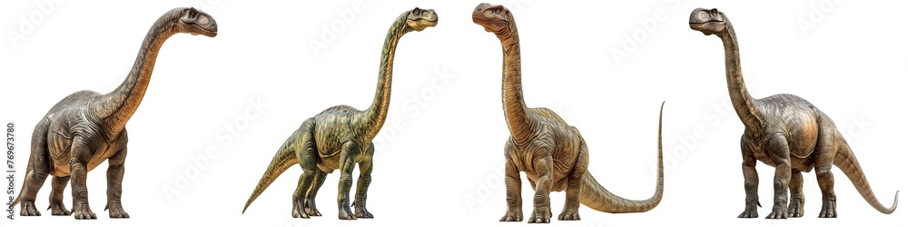 Fototapeta premium Set of sauropod isolated on transparent background