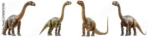 Set of sauropod isolated on transparent background © zenith