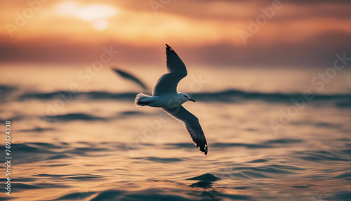 A seagull is flying in the sky above the sea at dawn. Beautiful sky with clouds at sunset. © Anna
