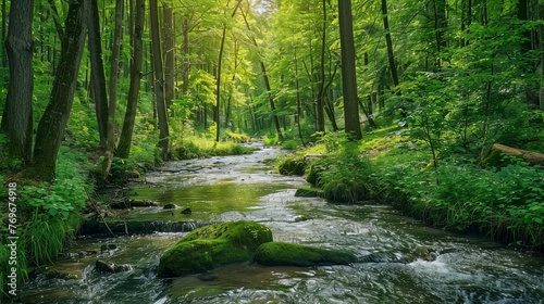 Nature and environment: Nature related topics such as landscape, natural life, outdoor activities 