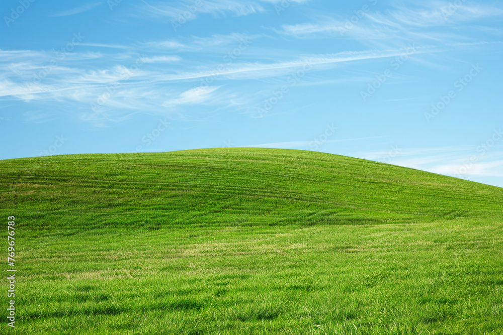 rolling green hill with a clear blue sky in the background