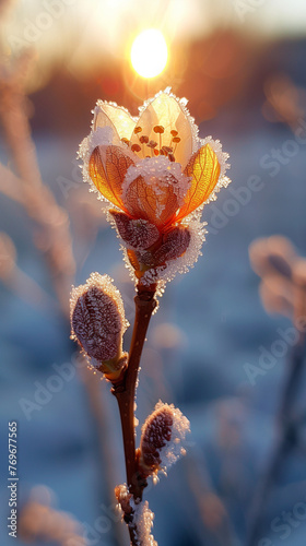 a flower bud in the snow. AI Generated