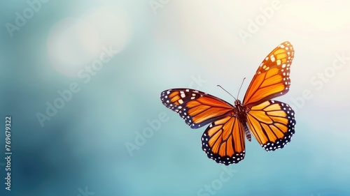 A vibrant monarch butterfly in mid-flight against a serene blue background with soft bokeh light spots.