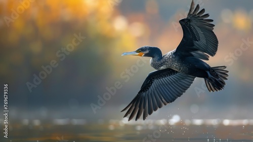 Large Bird Soaring Above Water