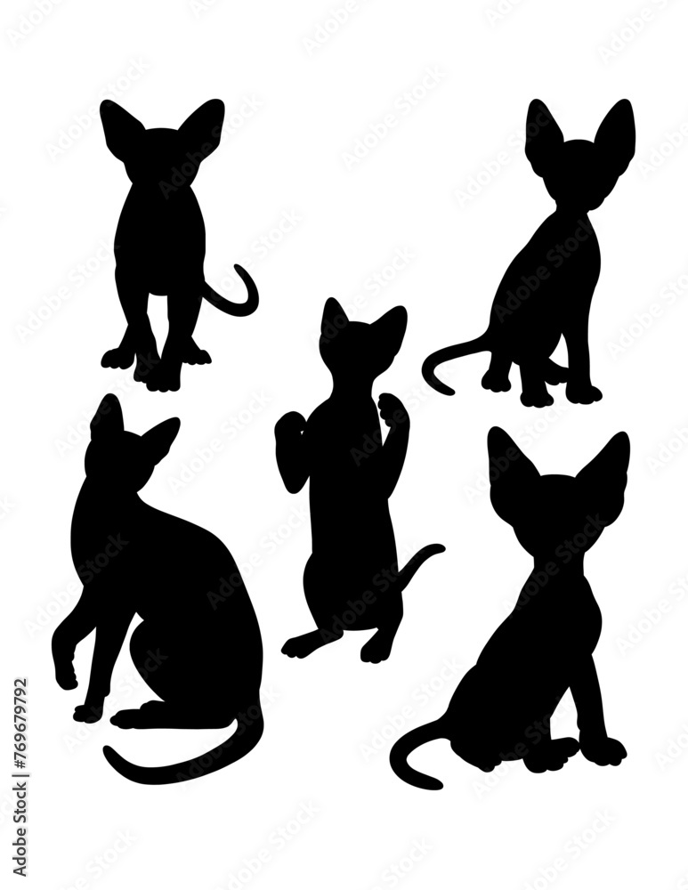 Cat pet animal action silhouette