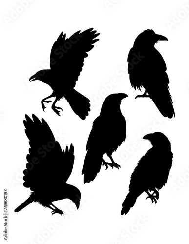 Crow bird action poultry animal silhouette