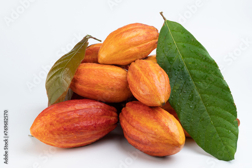 Group of wet cacao pods