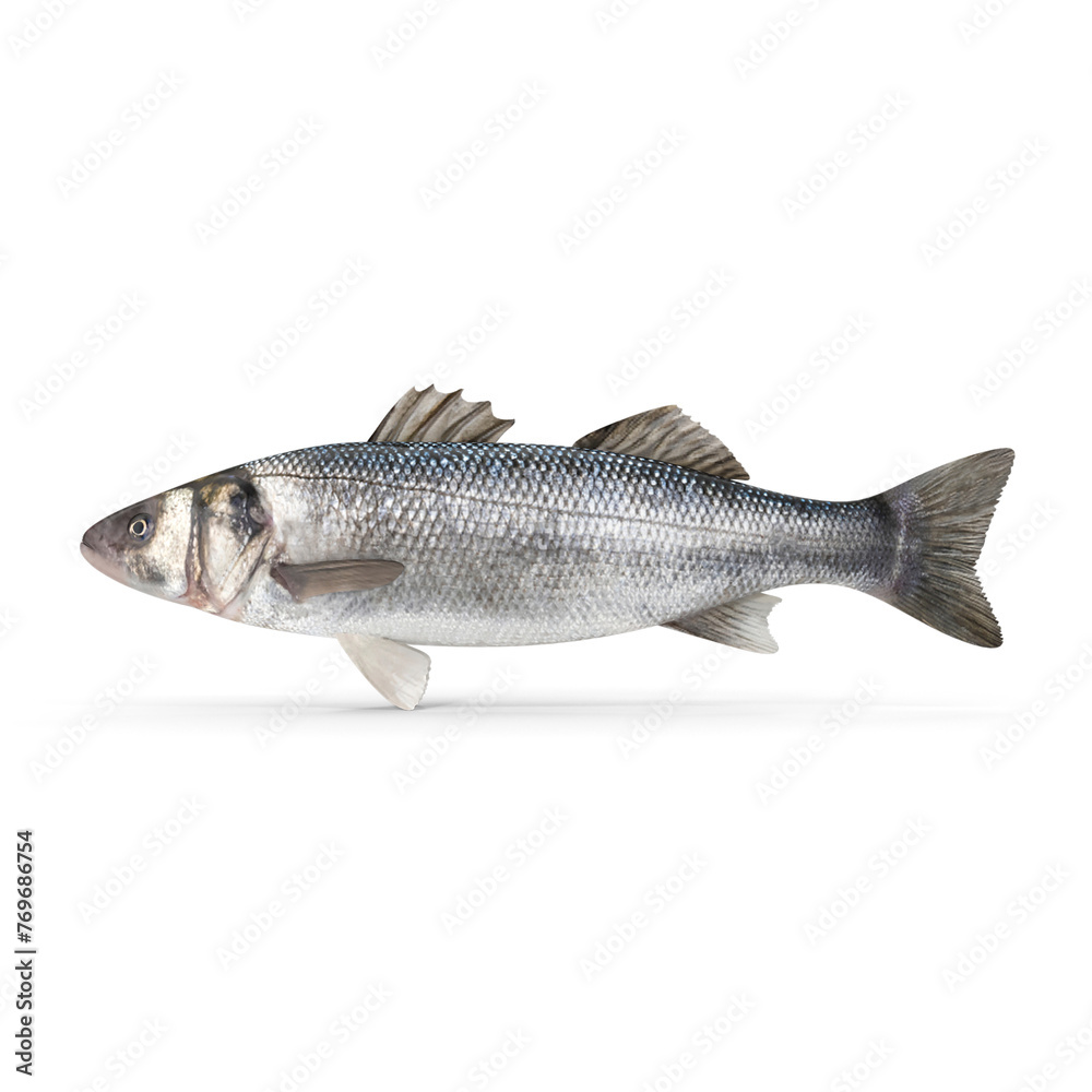 Seebass Fish