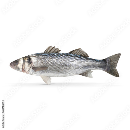 Seebass Fish