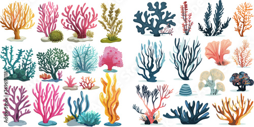 Seaweeds and sea plant creatures