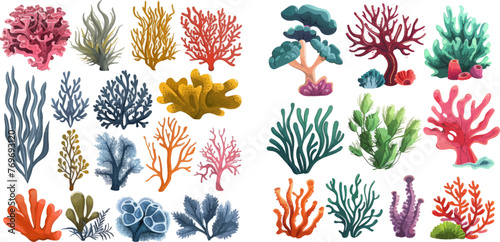Aquarium seaweed, ocean flora and fauna isolated