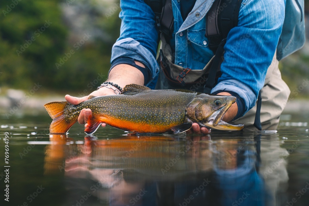 Φωτογραφία Man is proudly displaying a large brook trout he has just caught