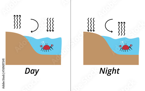 Diagram of how heat transfer occurs on a beach during the day and at night for studying physics, exact sciences, school.
