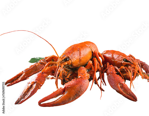 cooked crab isolated on white background top view