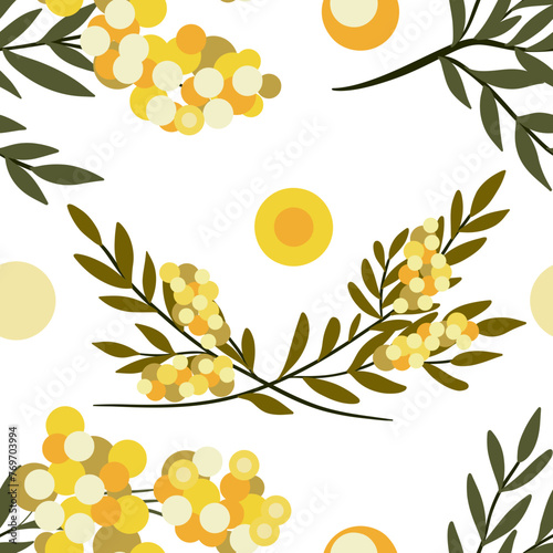 background with spring flowers mimosas 