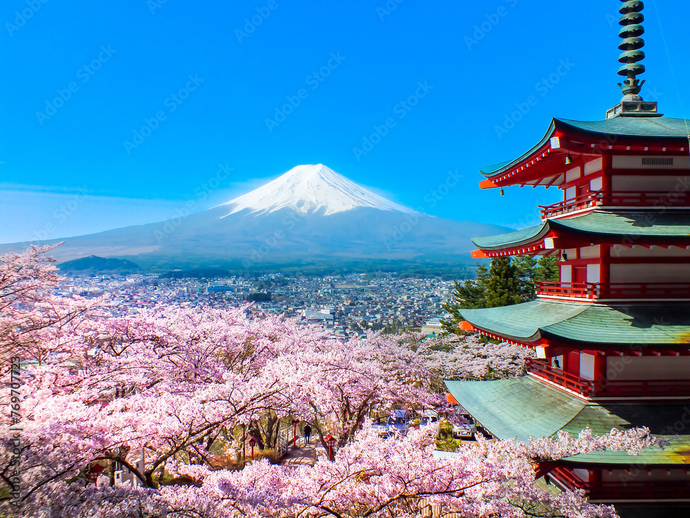 山梨県　富士吉田市　新倉山浅間公園　富士山と桜