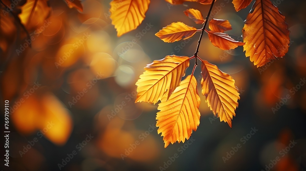 The Whispering Dance of Autumn Leaves Revealing Tales of Earth s Emotions