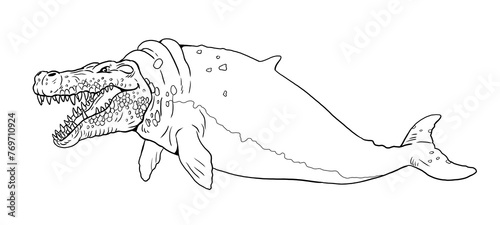 Coloring page with the animals mutants: a whale with a crocodile head. Coloring book with fantasy creatures. 