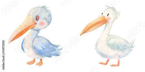 cute pelican watercolour vector illustration 