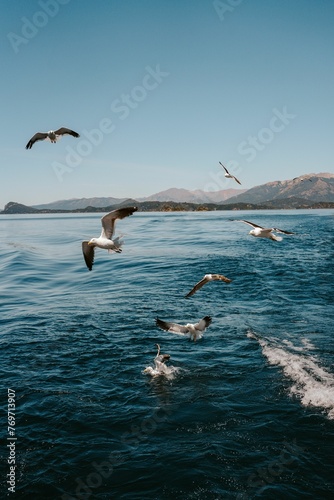 Vertical shot of a flock of seagulls flying above the sea in the daylight