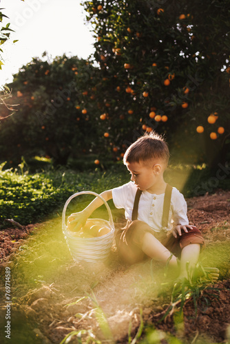 Toddler boy in vintage outfit with oranges in an orange grove