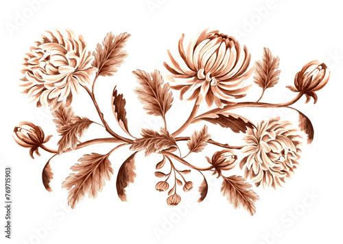 Chrysanthemum flowers with buds and leaves in watercolor. Vintage monochrome composition, isolated on white background. Hand drawn illustration brown color. Template for card, textile, scrapbooking.