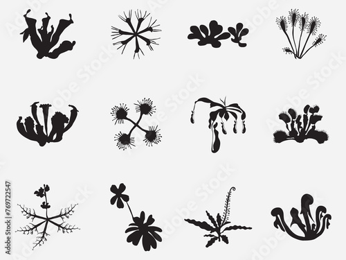 set of carnivorous plants silhouette vector illustration isolated on white background.Set of vector botanical decorative elements in black and white photo