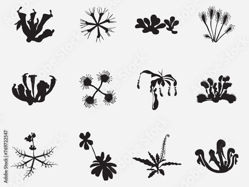 set of carnivorous plants silhouette vector illustration isolated on white background.Set of vector botanical decorative elements in black and white
