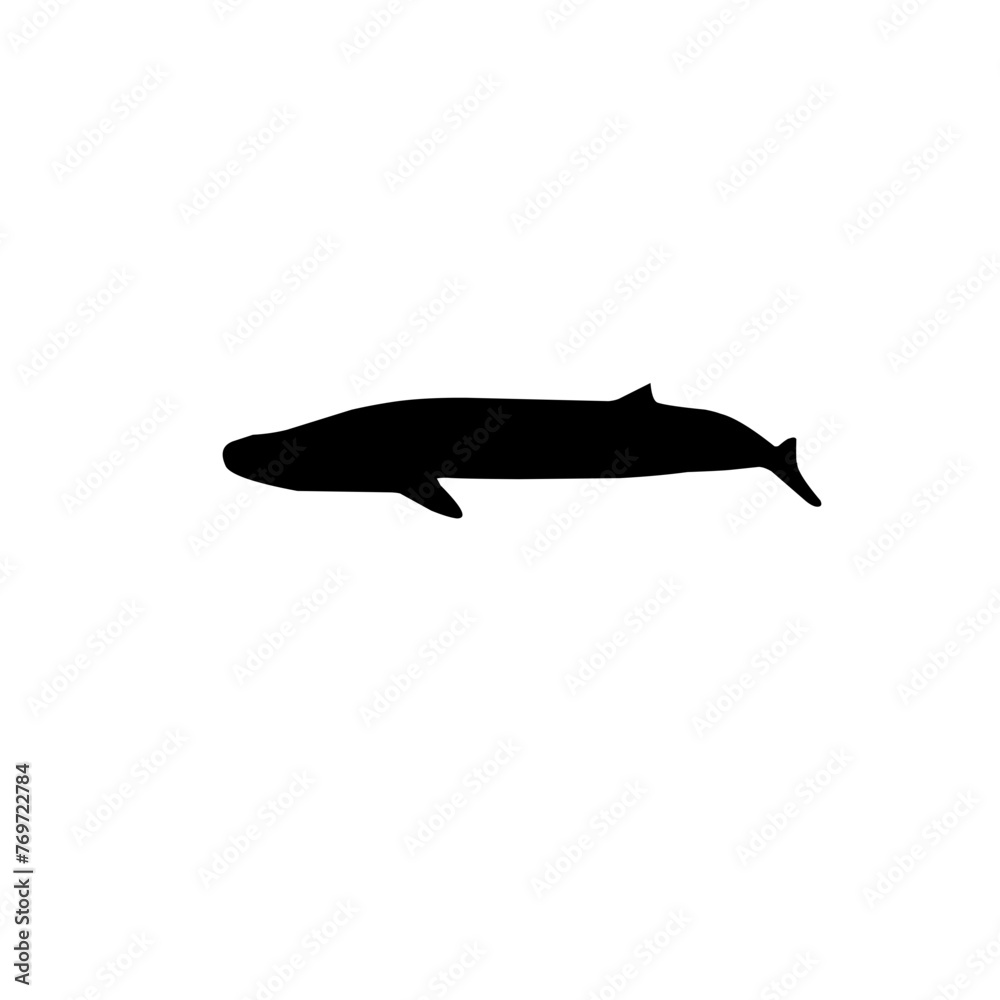 Whale Silhouettes Whale Silhouettes