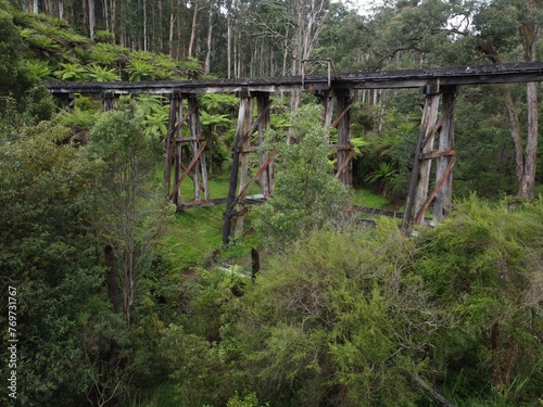 Picturesque view of Monbulk Creek Trestle Bridge in Belgrave, Australia photo