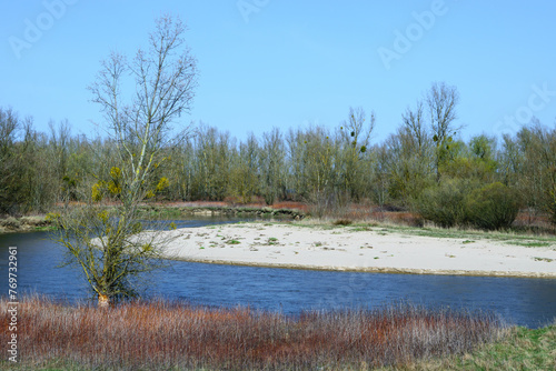 Meandry rzeki Wisły, spokojny polski krajobraz, piaszczysty brzeg i drzewa